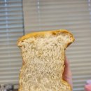 땡글이네 이미지