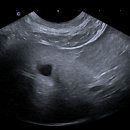 늘곁에동물병원 이미지