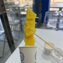 대구 복현동 신상 탕후루 가게 후기 : 달달 DARDAR