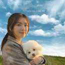 해피브릭