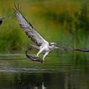 푸른빨래터 이미지