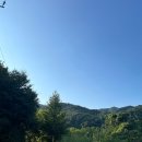 스테이율 이미지