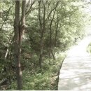 숲속의 계곡 이미지