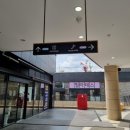 퍼피글랫 | 동탄 강아지 데이케어 추천ㅣ퍼피글랫 동탄점