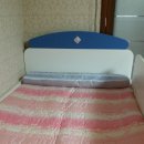 신우팜 | 신우팜 느웰 7.5cm 라텍스 매트 후기