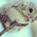 (주)하랑팜 네이버블로그