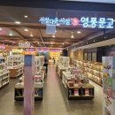 지혜문고 | 창원 영풍문고 나우드림 할인 책구입후기