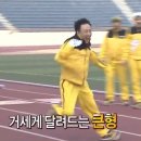 만석부두 바다쉼터 | 푸른 바다와 분홍빛 벚꽃의 만남, 창원 마산 돝섬 인생샷 포토존