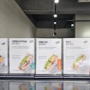 마싯 이미지