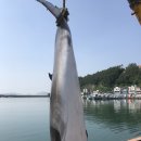 외포항1 이미지