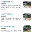 투앤디 썰매수영장 이미지