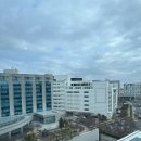 [알바 후기] 인천 그랜드하얏트 호텔 객실정비보조(24.12.28.~31.)