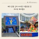 해피커머스 | 제주 공항 근처 아이랑 가볼 만한 곳 하리보 해피월드 입장료, 주차정보