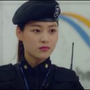 여우바라기 이미지
