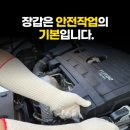 모닝글러브 이미지