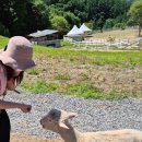 거림목장 이미지