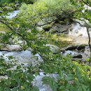 마음의 산책3 이미지