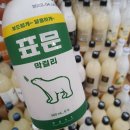 곰돌이백양
