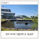 동궁원 | 경주 아이랑 가볼만한곳 동궁원 솔직후기 (+4월 라원 할인 정보)