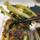예소담 - 군산시 설림2길 11 | [제품 후기]예소담 열무김치추천, 더운 날씨 입맛 살려준 시원한 밥도둑!