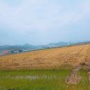 우진부동산중개사무소 이미지