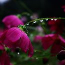 금산농장 이미지