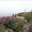 백마공원 이미지