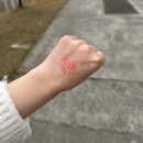 무지개농장 | 대만 타이중 일월담&amp;칭징농장 일일버스투어 후기 : 양 한 마리,,양 두 마리,,,,zzZ