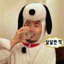 미카엘소비센타 | [숲속의 다이어트캠프] 식전 물 한 잔 마시면 살 빠진다 ? 얼마나 마셔야할까요?