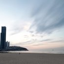 베니스옵티컬