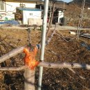 병걸농장 이미지