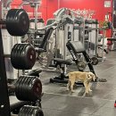 장충본가족발 | 2025-51