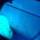 더본커머스 이미지