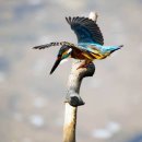 황소환경자원 이미지