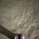 웅천친수공원 이미지