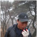 여수라푸마 Daum카페