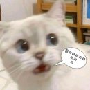 라궁목장 네이버블로그