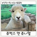 인천 서창] 인천 아이와 함께 방문하기 좋은 쥬벅스 앤 쥬니멀