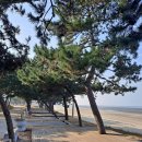 동호어촌체험휴양마을 | 전북 캠핑장 추천 고창 동호해수욕장 국민여가캠핑장