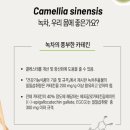 바디플러스핏 이미지