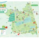 화심회라온 태권도 이미지