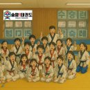 송암태권도장 이미지