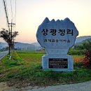 시골농원 네이버블로그