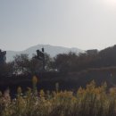 산단로 이미지