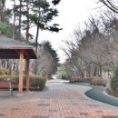 (주)대창그린 이미지