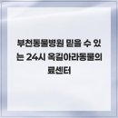 옥길아라동물의료센터 이미지