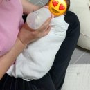 조은맘산후도우미 이미지