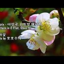 Chopin - 야상곡, E 프렛 메이져 (Nocturn in E Flat, Opus 9) &amp; photo by 모모수계 이미지