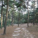 파인힐 캠프 이미지