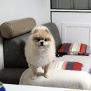휴먼시아2단지 이미지